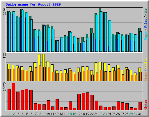 Daily usage for August 2020