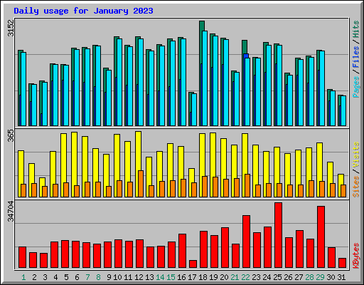 Daily usage for January 2023