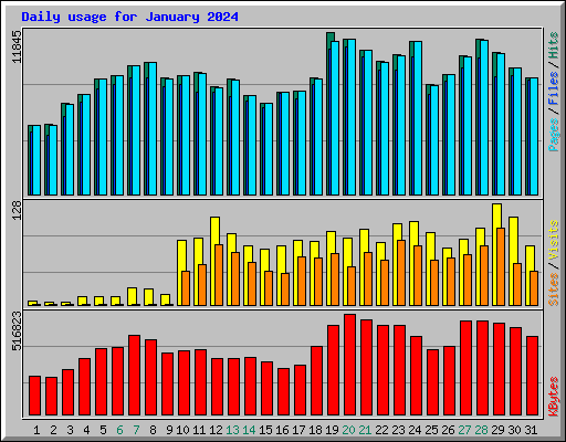 Daily usage for January 2024