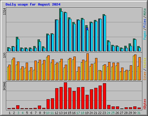 Daily usage for August 2024