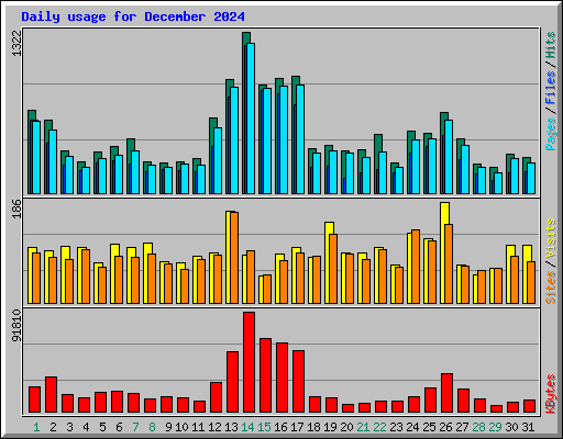 Daily usage for December 2024