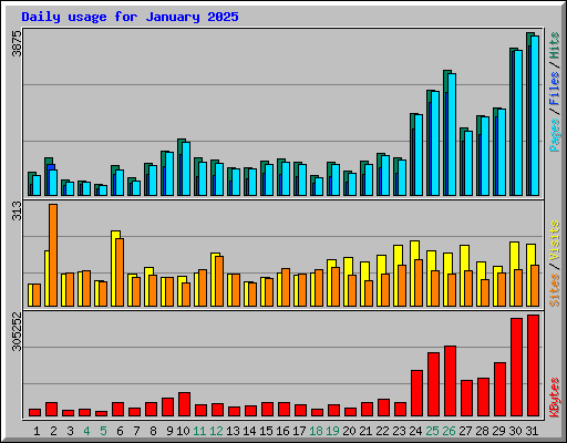Daily usage for January 2025