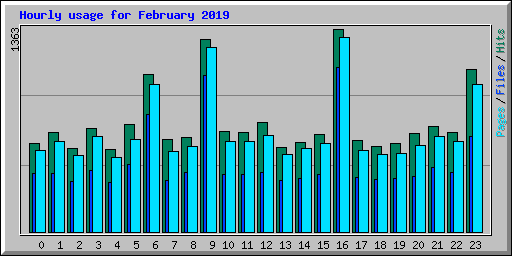 Hourly usage for February 2019