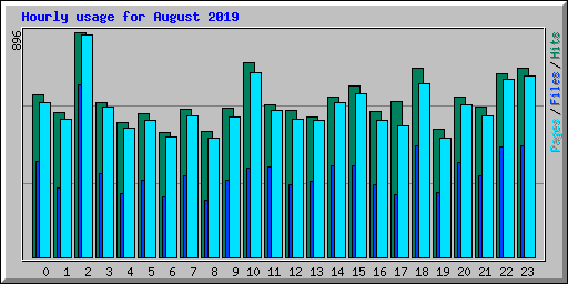 Hourly usage for August 2019