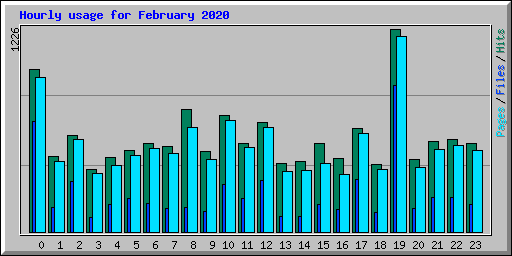 Hourly usage for February 2020