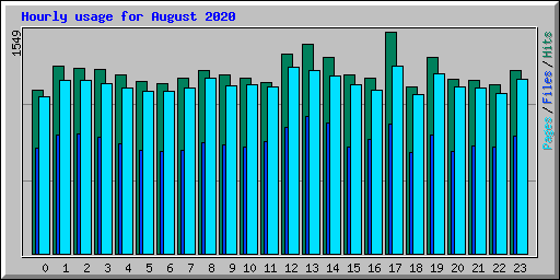 Hourly usage for August 2020