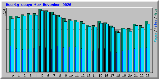 Hourly usage for November 2020