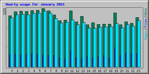 Hourly usage for January 2021