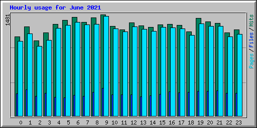 Hourly usage for June 2021