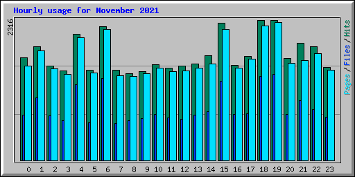 Hourly usage for November 2021