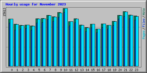 Hourly usage for November 2023