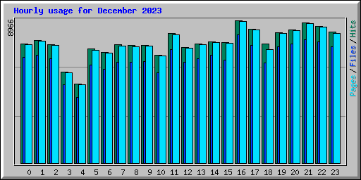 Hourly usage for December 2023