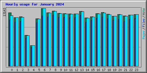 Hourly usage for January 2024