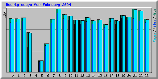 Hourly usage for February 2024
