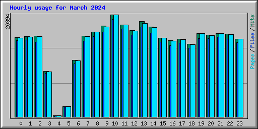Hourly usage for March 2024
