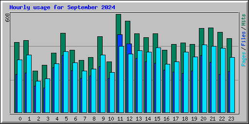 Hourly usage for September 2024
