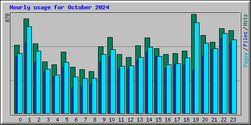 Hourly usage for October 2024