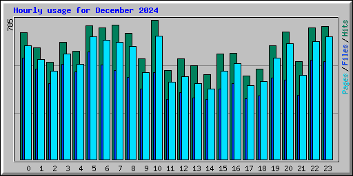 Hourly usage for December 2024