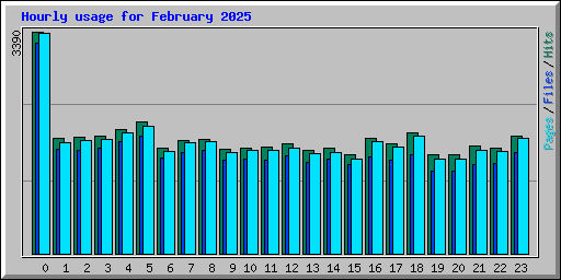 Hourly usage for February 2025