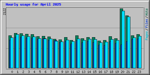 Hourly usage for April 2025