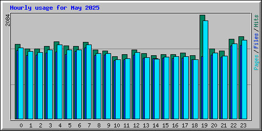 Hourly usage for May 2025