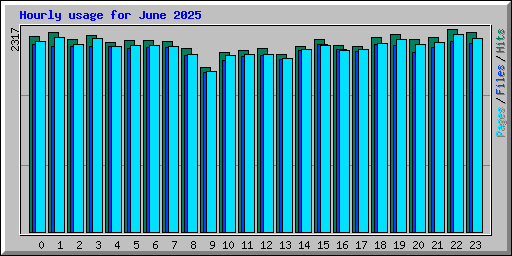 Hourly usage for June 2025