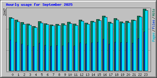 Hourly usage for September 2025
