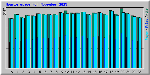 Hourly usage for November 2025
