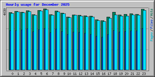 Hourly usage for December 2025