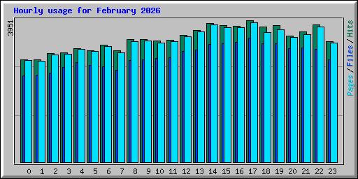 Hourly usage for February 2026